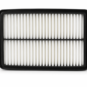 DOLF  Air Filter \ 28113-2W300